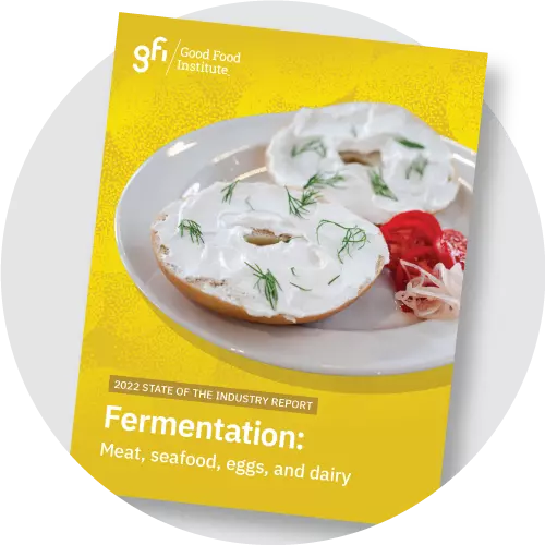 Einblicke zur weltweiten Entwicklung rund um Lebensmittel auf Basis von Fermentation