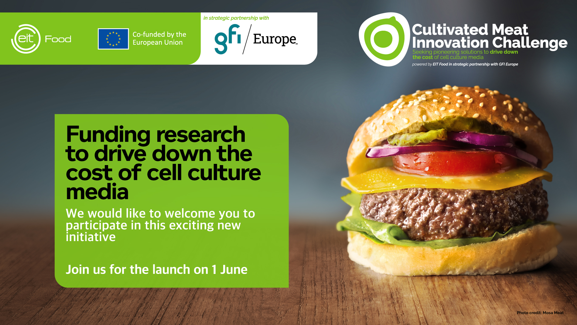 Innovation Challenge: GFI Europe und EIT Food fördern vier zukunftsweisende Projekte, um die Produktionskosten von kultiviertem Fleisch zu senken