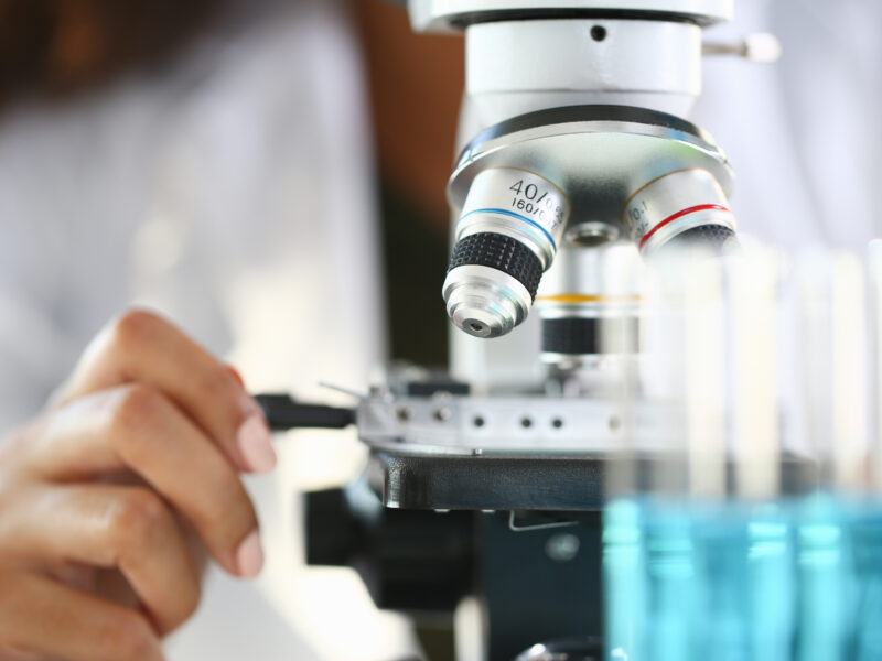 Person adjusting the focus on a microscope