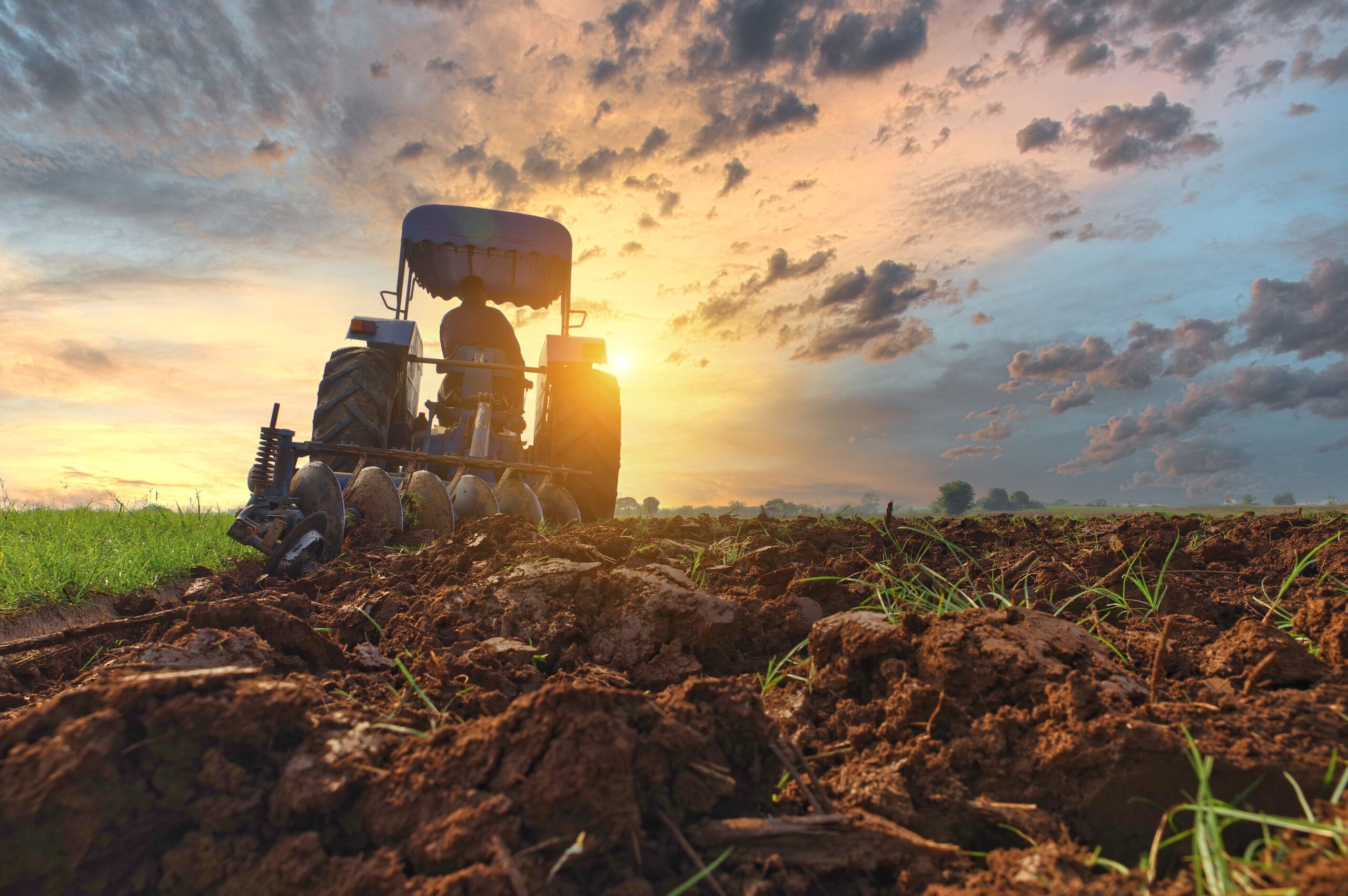 Den Wandel sähen – wie Europas Landwirte von den Vorteilen pflanzenbasierter Lebensmittel profitieren können