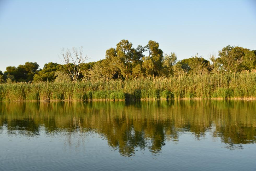 Parque Natural de la Albufera