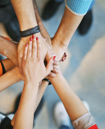 Donate to GFI Europe