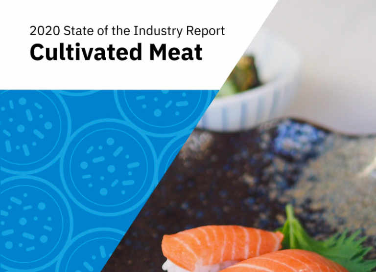 Cultivated meat State of the Industry report GFI Europe