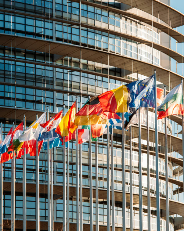 Our policy team works at the EU and national levels