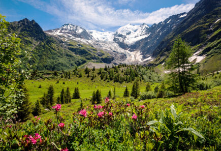 Mountains and meadow