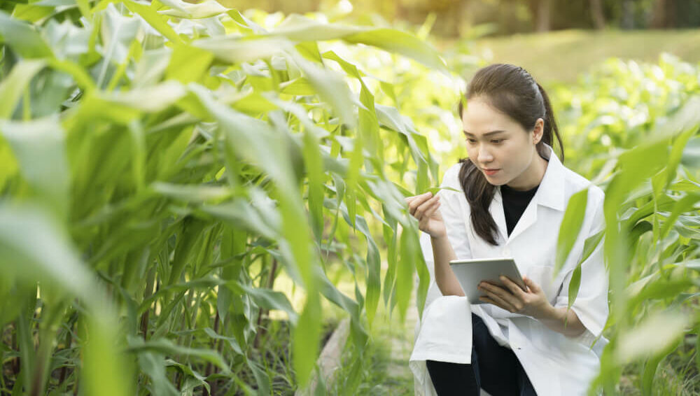 Scientist researching plant-based meat