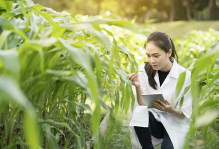 Scientist researching plant-based meat