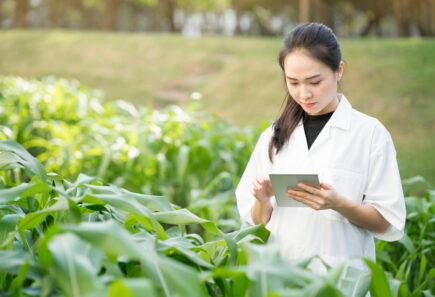 Woman researching plant protein