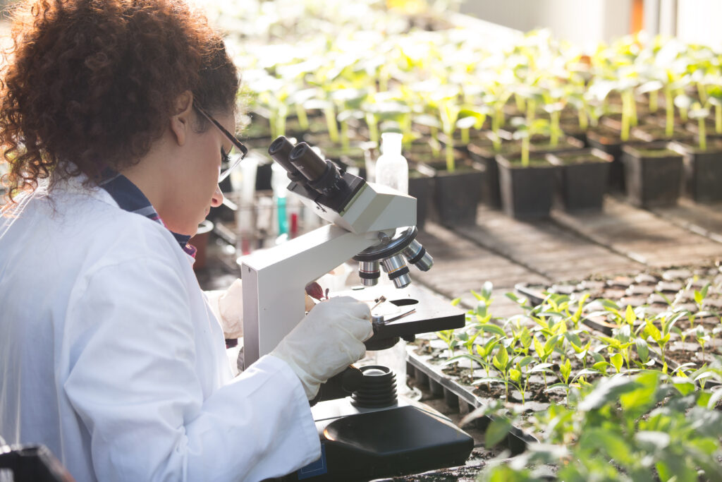 Biologist researching plants