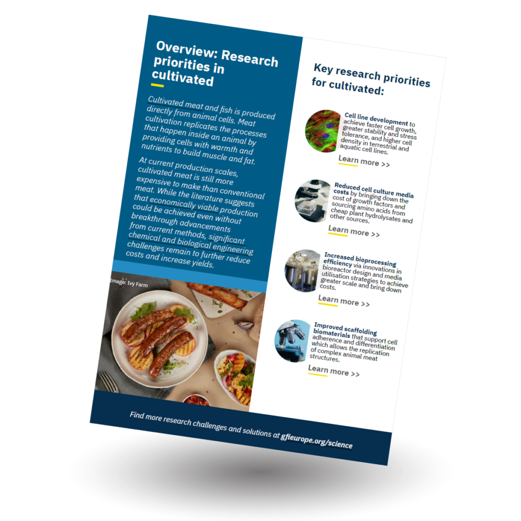 Front cover of GFI Europe resource on Cultivated meat research priorities for alternative protein applications
