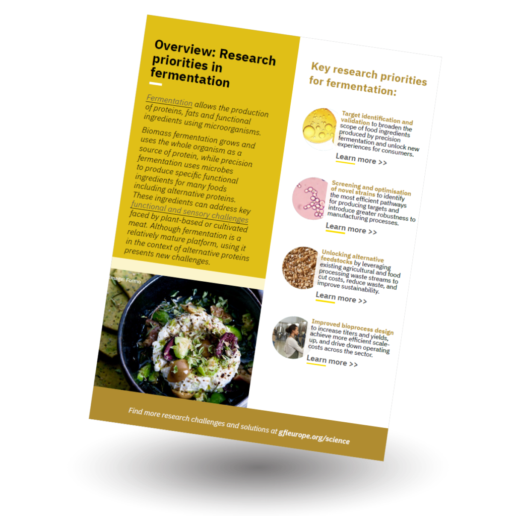 Front cover of GFI Europe resource on Fermentation research priorities for alternative protein applications