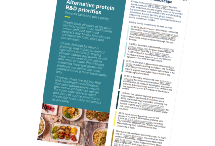 Cover of research priorities document