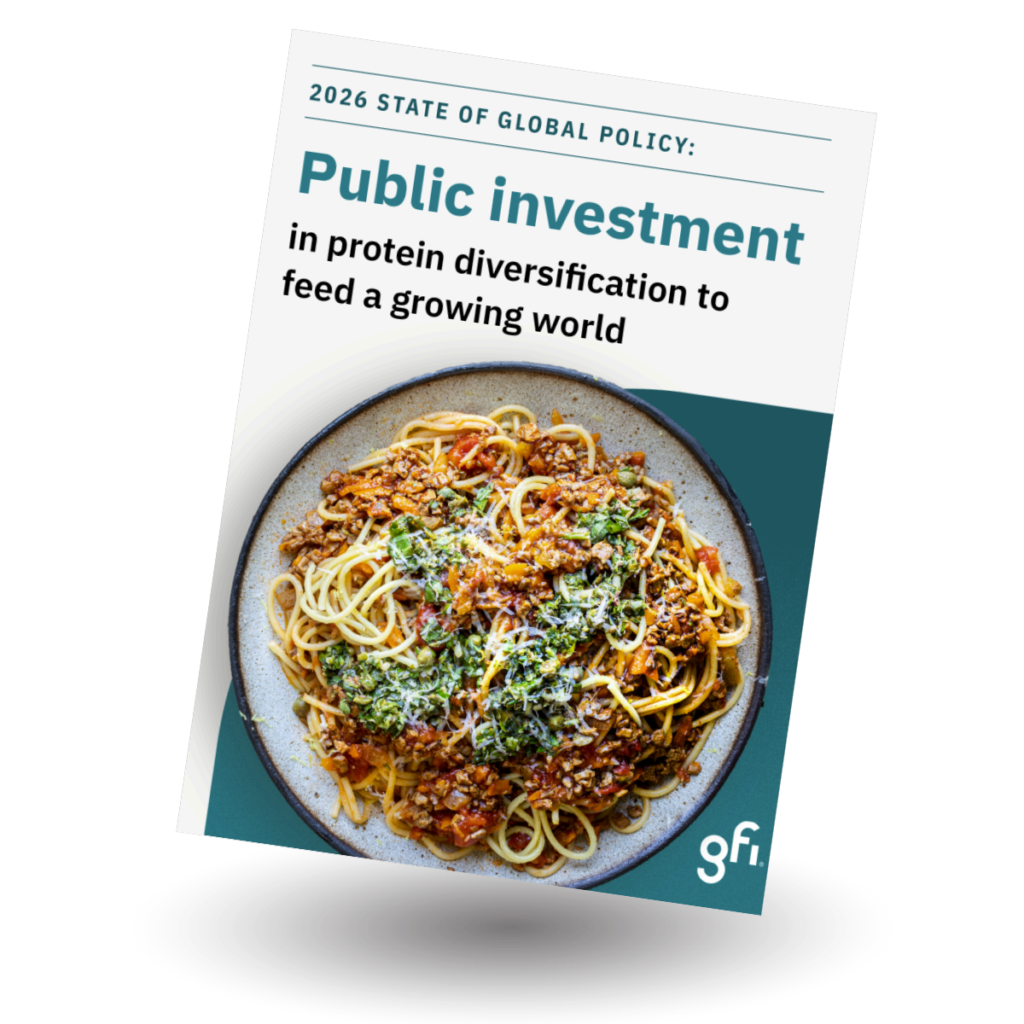 Cover image for the state of global policy report.