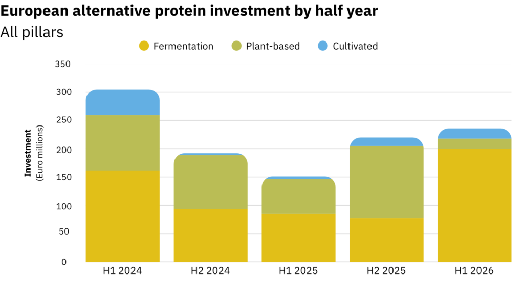 Chart showing the investemnt in European alternative protein companies by half year. Following a sharp decrease after H1 2024, the pattern shows a gradual increase.