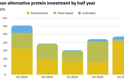 Chart showing the investemnt in European alternative protein companies by half year. Following a sharp decrease after H1 2024, the pattern shows a gradual increase.